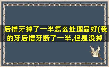 后槽牙掉了一半怎么处理最好(我的牙后槽牙断了一半,但是没掉 怎么办)